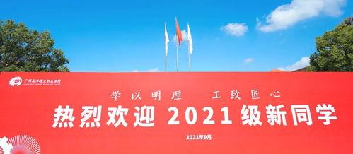 南阳理工爆料事件视频最新,真相与争议交织的校园风云 第1张 南阳理工爆料事件视频最新,真相与争议交织的校园风云 第1张